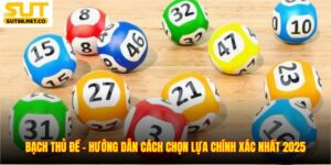 Bạch Thủ Đề – Hướng Dẫn Cách Chọn Lựa Chính Xác Nhất 2025