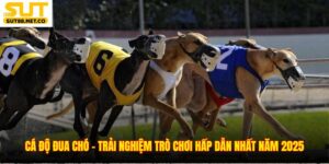 Cá Độ Đua Chó - Trải Nghiệm Trò Chơi Hấp Dẫn Nhất Năm 2025