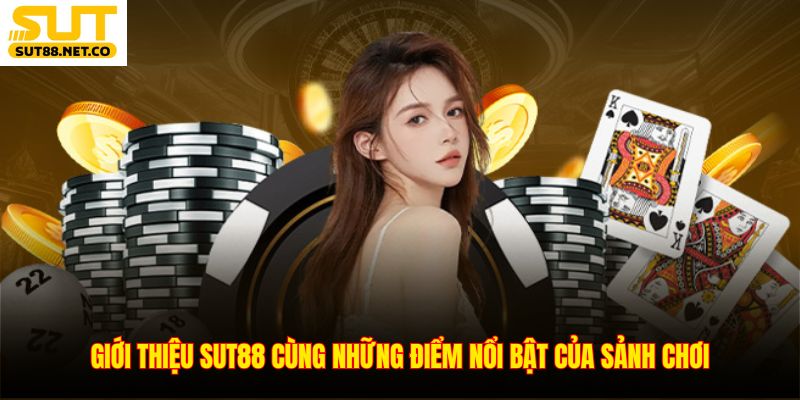 Giới thiệu SUT88 cùng những điểm nổi bật của sảnh chơi