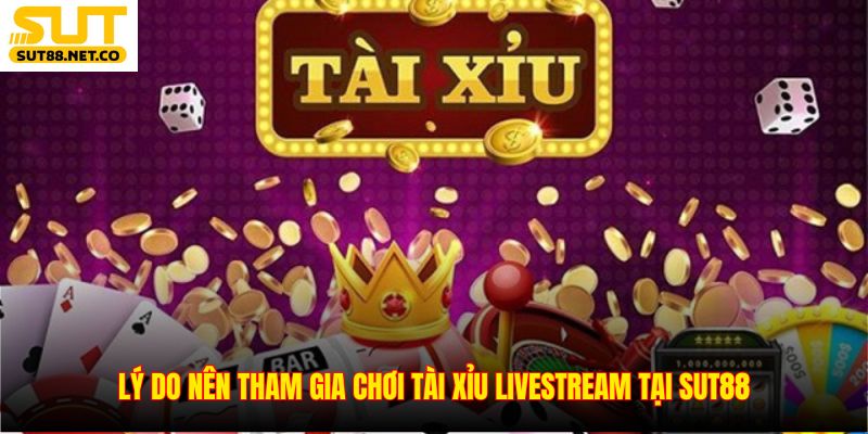 Lý do nên tham gia chơi tài xỉu livestream tại SUT88