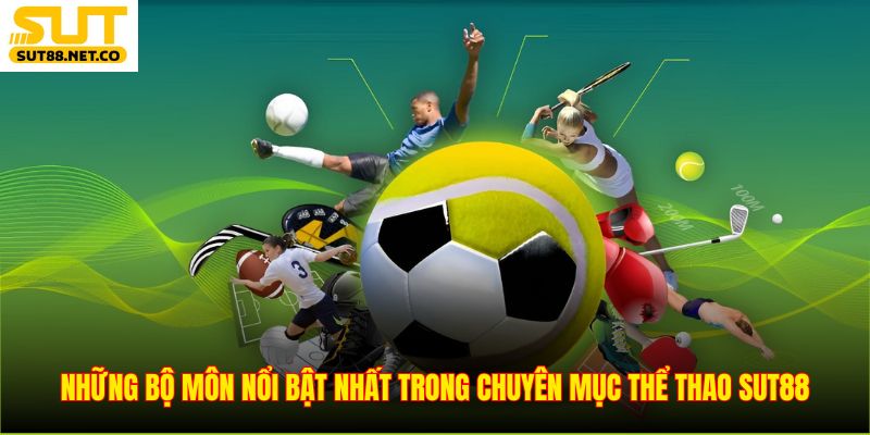 Những bộ môn nổi bật nhất trong chuyên mục thể thao SUT88