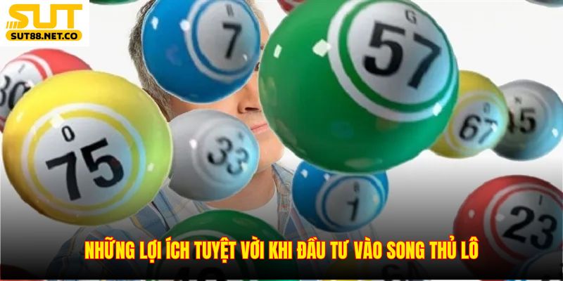 Những lợi ích tuyệt vời khi đầu tư vào song thủ lô