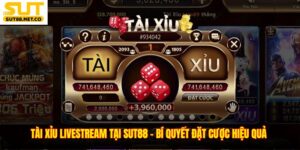 Tài Xỉu Livestream Tại SUT88 - Bí Quyết Đặt Cược Hiệu Quả 