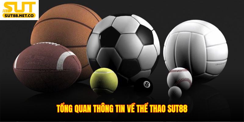 Tổng quan thông tin về thể thao SUT88